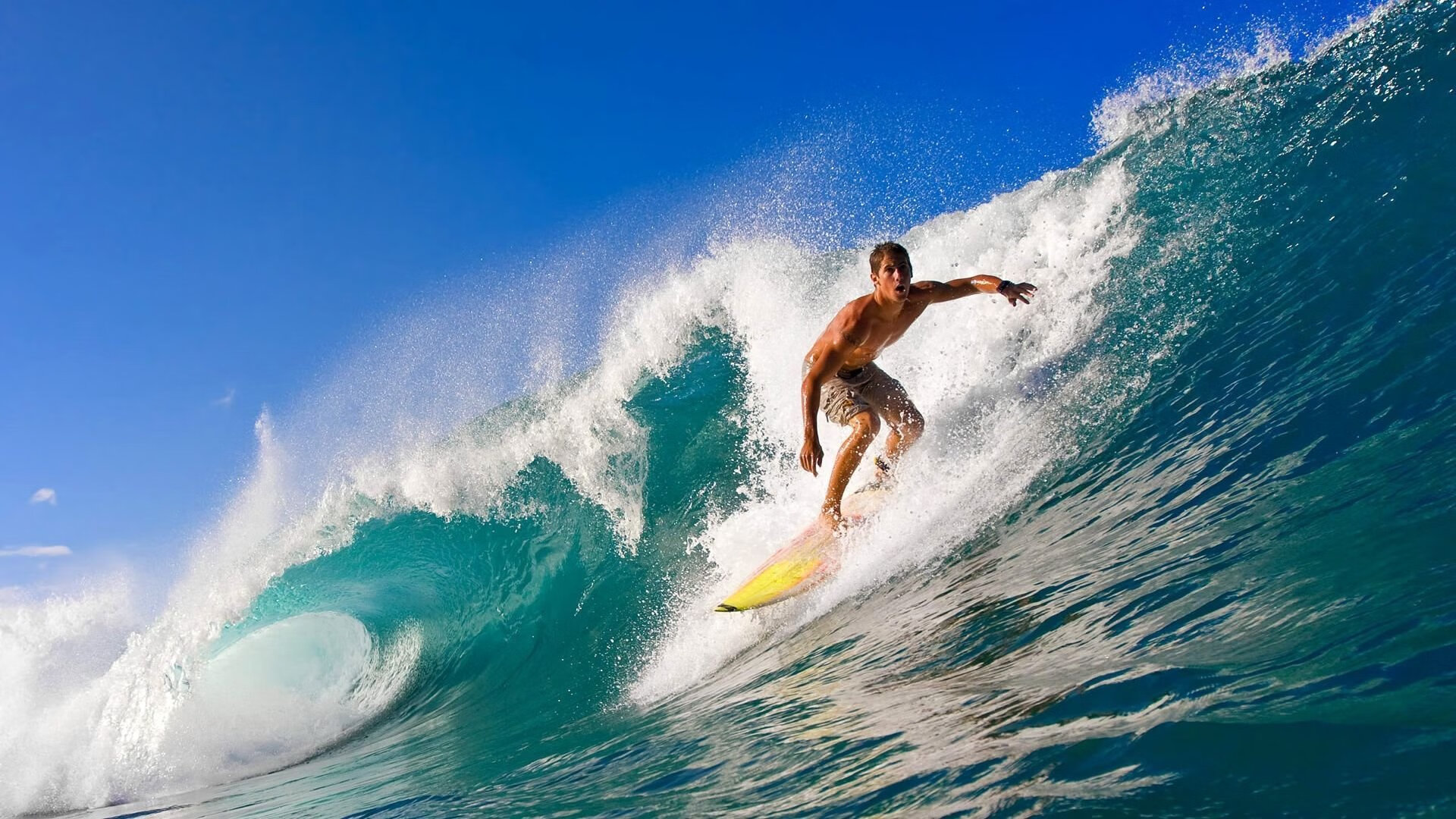 “费尔南多·比亚尔巴的球场统治力，阿根廷美洲狮队的进攻核心”